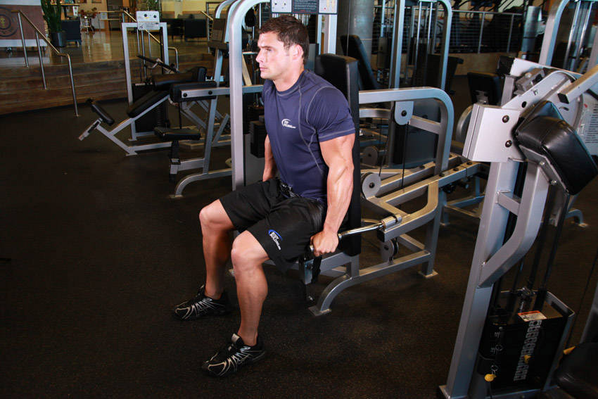 Dips machine assistée - position finale