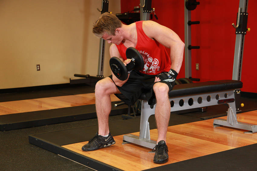 Curl concentré haltère - position finale