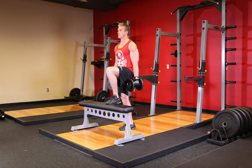 Step-up haltère - position finale