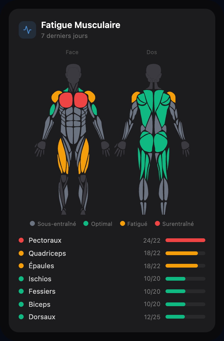 Carte de fatigue musculaire AIVancePro : silhouette avant et arrière avec les muscles colorés (pectoraux en rouge surentraîné, quadriceps et épaules en ambre, dos en vert) et le détail des séries par muscle sur 7 jours